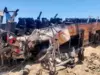 ارتفاع حصيلة ضحايا الحادث المروّع في مصر