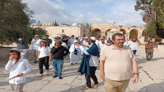 صورة حول : مئات المستوطنين يقتحمون الأقصى في رابع أيام «عيد العرش» مئات المستوطنين يقتحمون الأقصى في رابع أيام «عيد العرش»