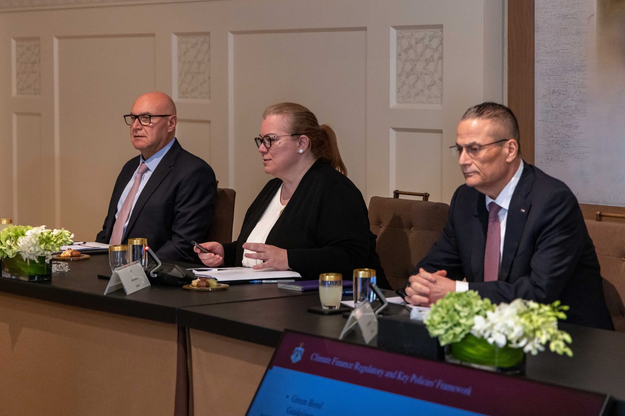 الملك يوجه الحكومة لوضع استراتيجية وطنية متكاملة للتمويل المناخي