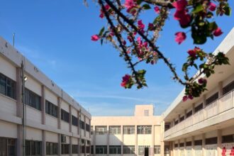 "مبادرة سنبلة أفكار من قلب المدارس تتحول إلى مشاريع تصنع الأثر"
