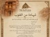 منصة عالمية غير ربحية تعيد ملايين الزوار إلى البترا رقميًا… وتحول صورهم وذكرياتهم إلى أكبر «ذاكرة سياحية» مفتوحة للعالم