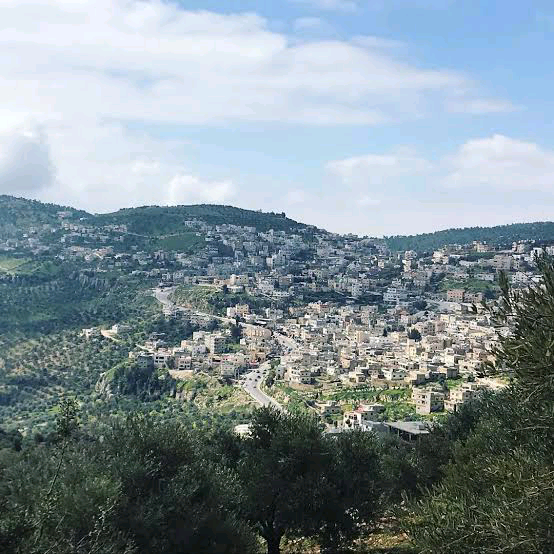 صورة حول : مواطن غاضب من ساكب لوزير الادارة المحلية وليد المصري: اتق الله بأولاد الناس.. شوف الطريق مواطن غاضب من ساكب لوزير الادارة المحلية وليد المصري: اتق الله بأولاد الناس.. شوف الطريق