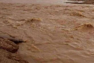 فقدان شخصين في وادي صياغة بلواء الشونة الجنوبية نتيجة السيول وعمليات البحث عنهم جارية #عاجل
