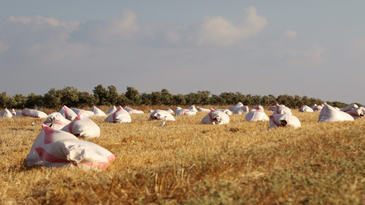 صورة حول : الأعلى للسكان يدعو لحماية الأراضي الزراعية وتمكين المرأة الريفية الأعلى للسكان يدعو لحماية الأراضي الزراعية وتمكين المرأة الريفية