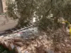 ارتفاع حصيلة شهداء العمل الإرهابي في الكرك إلى 9 بعد استشهاد أحد المصابين