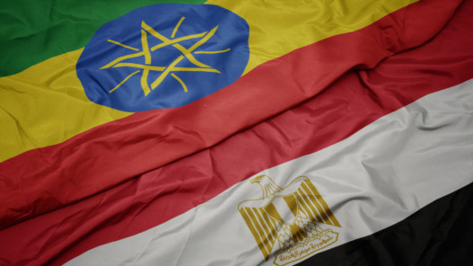 صورة حول : مصر تعتبر مستشار السفارة الإثيوبية بالقاهرة شخصًا غير مرغوب فيه مصر تعتبر مستشار السفارة الإثيوبية بالقاهرة شخصًا غير مرغوب فيه