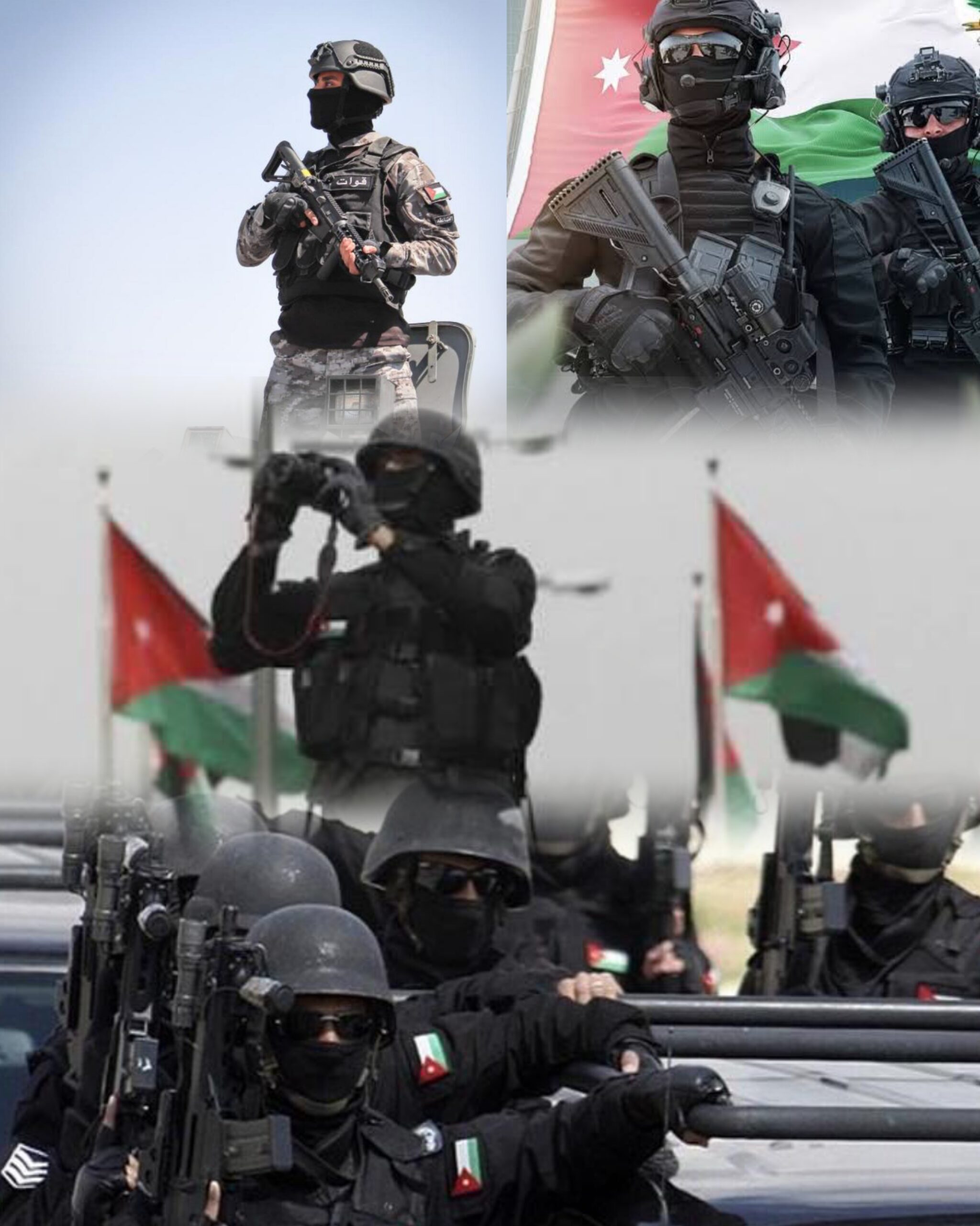 سلامة: حين غاب تجار الشهرة حضر الرجال.. الأردن وطن لا يصونه إلا الأوفياء