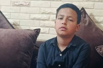 إصابة طفل إثر تعرضه لعقر كلب ضال في وادي موسى